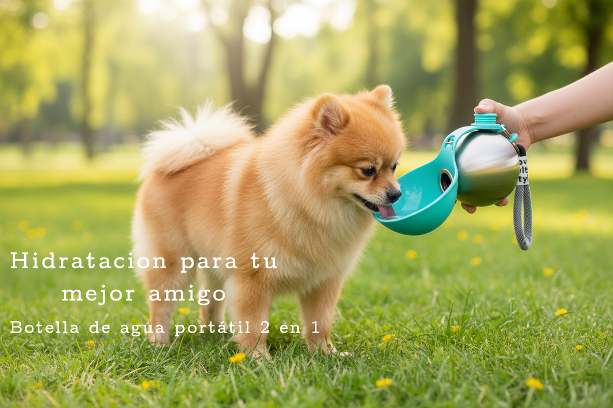 Lumikata Botella de Agua Portátil 2 en 1 para Perros